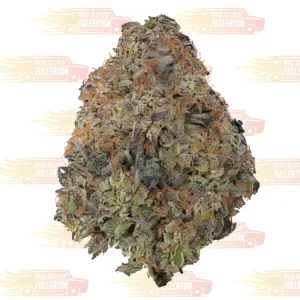 BLACK CHERRY GELATO