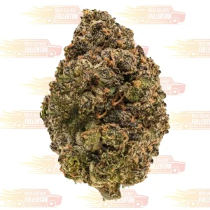 Nerd Strains