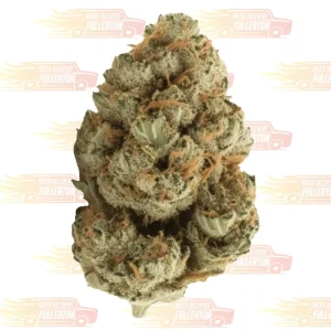 Watermelos Gelatto Strain